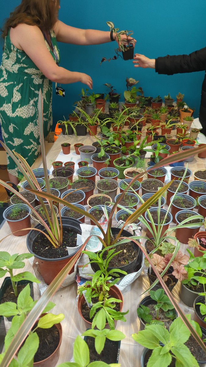 Matt Butler tweet media