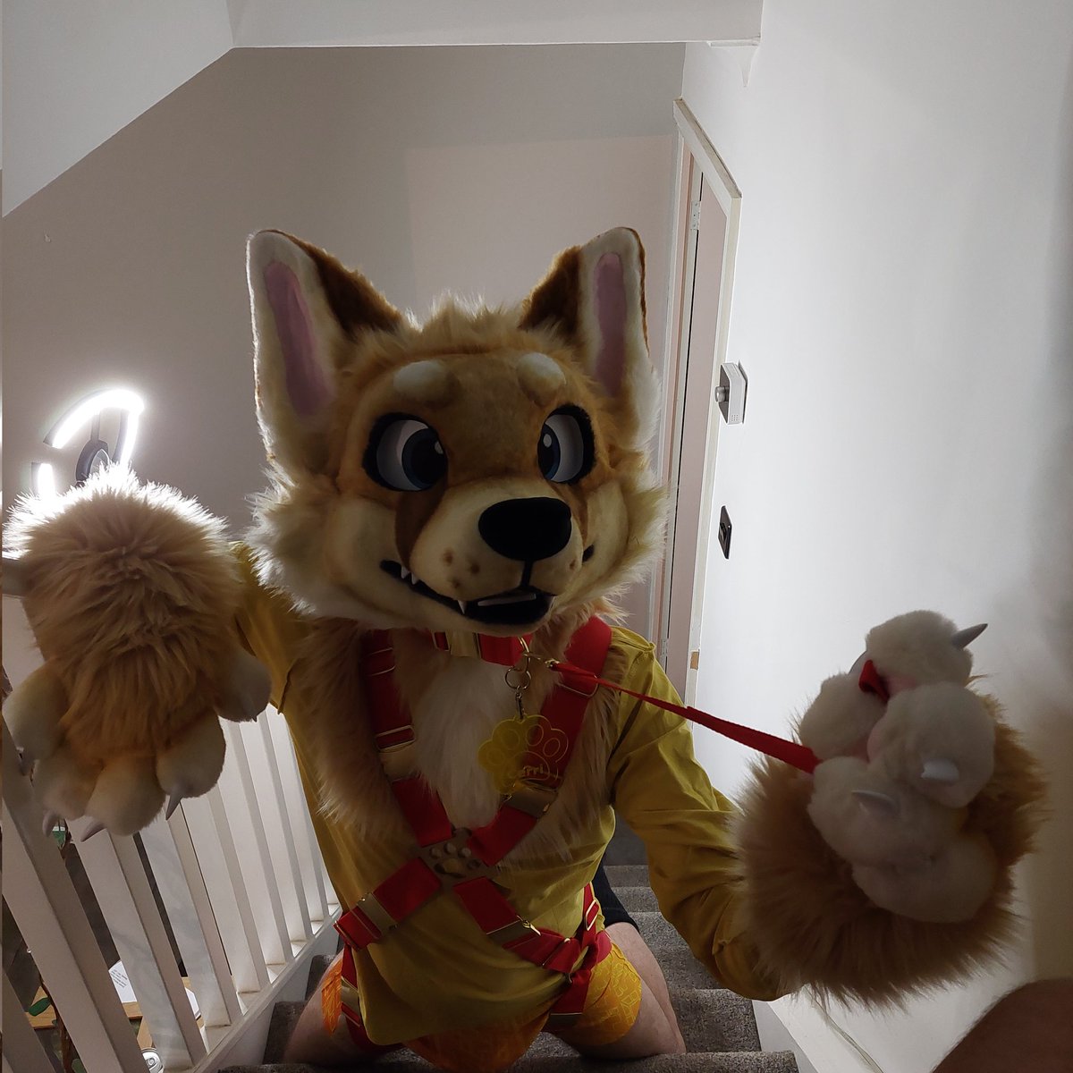Mildly horny harness hours. You want the leash?