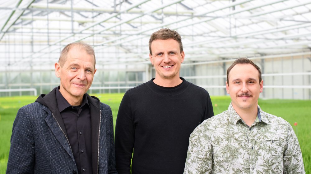 Gardengirls: Weiterer Schritt im Generationswechsel dlvr.it/T6Fgq3