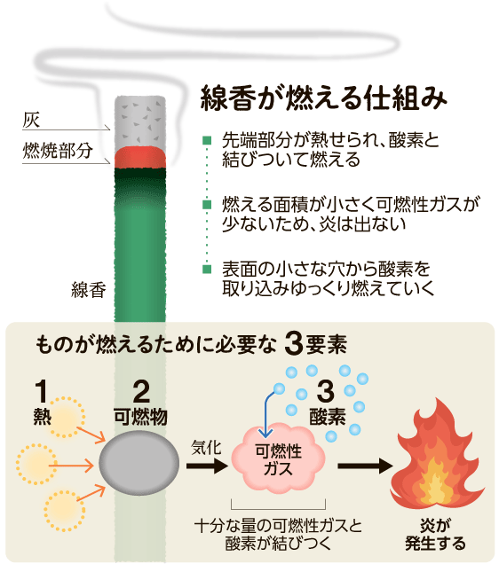 【ののちゃんのDO科学】 #線香 はどうして炎を出さずに燃えていくのでしょうか？ digital.asahi.com/articles/ASS4J… ののちゃんは、朝日新聞に連載されている漫画の主人公で、小学3年生。 学級担任の藤原先生を相手に、身の回りの不思議を質問します。 聞いてほしい疑問はこちらへ。science@asahi.com