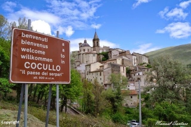 'I serpenti si attorcigliano al collo del santo, alle braccia, ai piedi; infilano la testa nell’aureola metallica, dardeggiando le lingue biforcute; formano ghirlande attorno alla croce..' È la magica festa dei serpenti di #Cocullo in #Abruzzo #1maggio laquilablog.it/la-magica-fest…