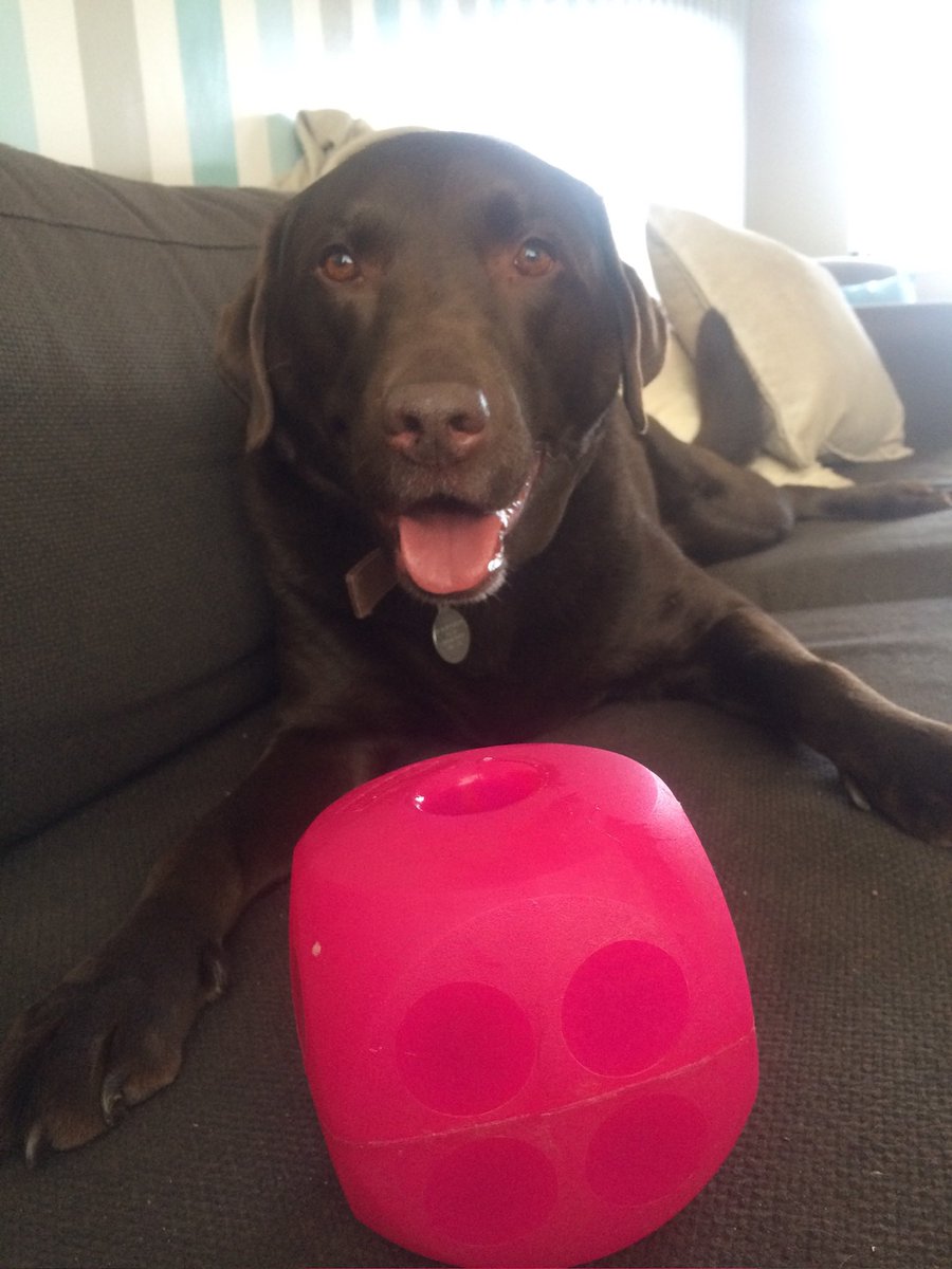 Sonia Watts tweet media