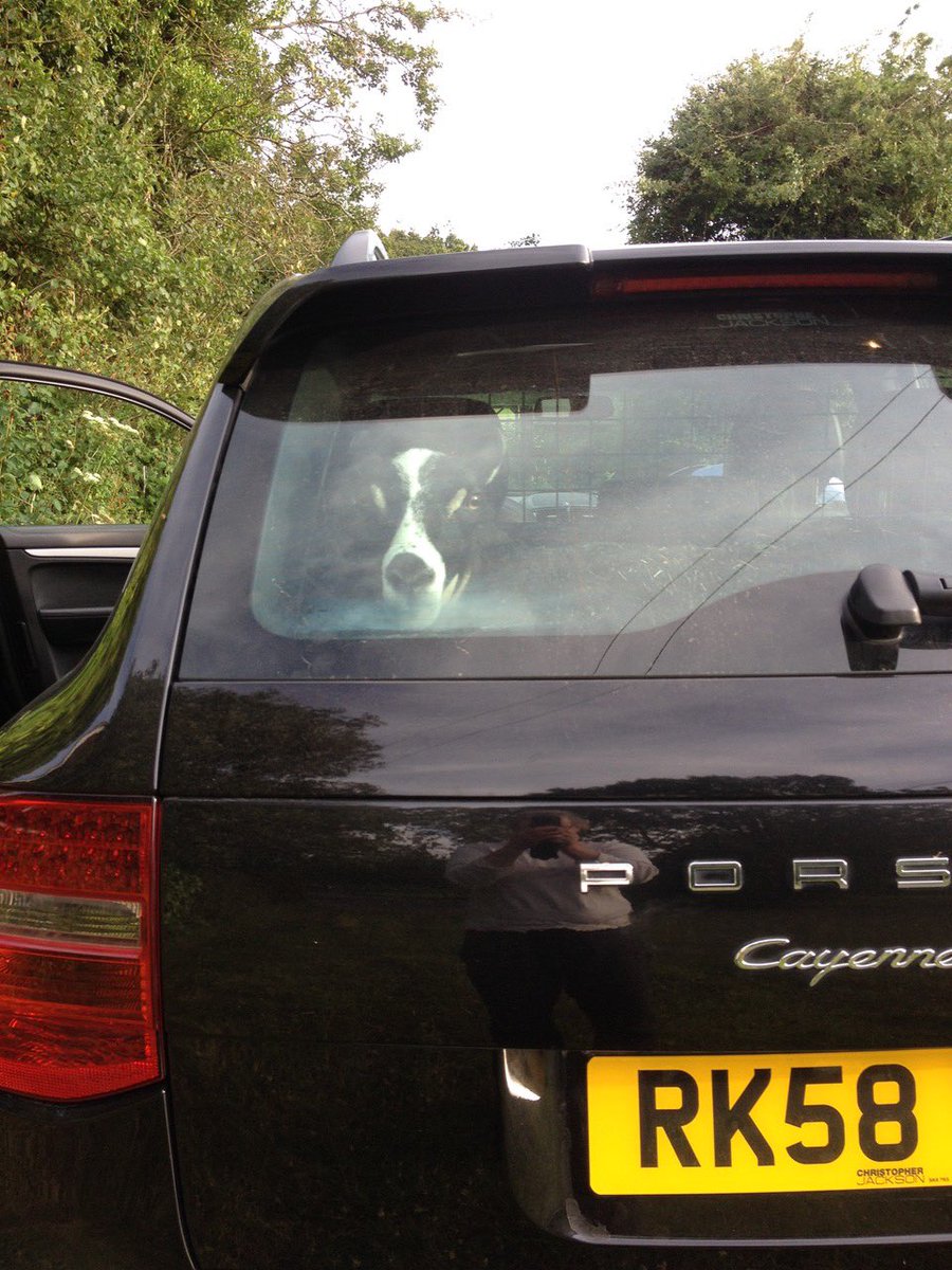 @joncoupland I had sheep in the Porsche. Welcome to Wiltshire.