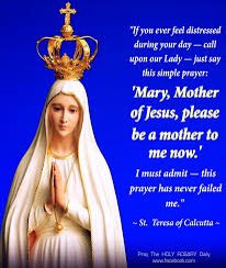 Today marks the first day of May where we celebrate a very special lady! Mary is the Mother of Christ – your mother, everyone’s mother – she cares for all of us day-in-day-out without fail. For this we thank her. Our Lady of Lourdes- pray for us! #OLOLRE @ololprimary_HT