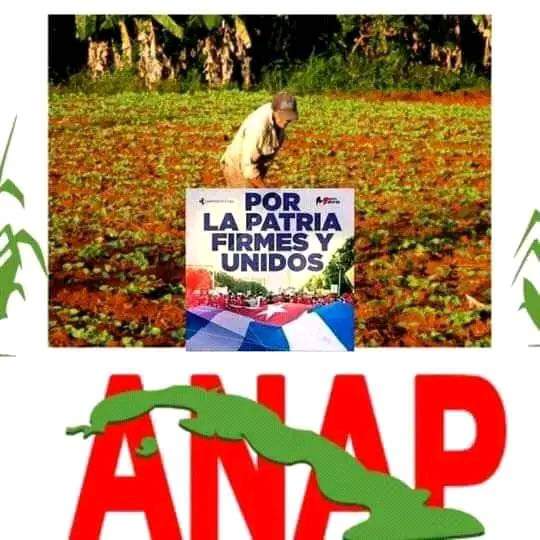 #AnapCuba por un #1mayo victorioso