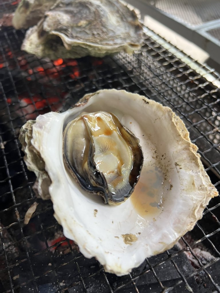 big oyster…