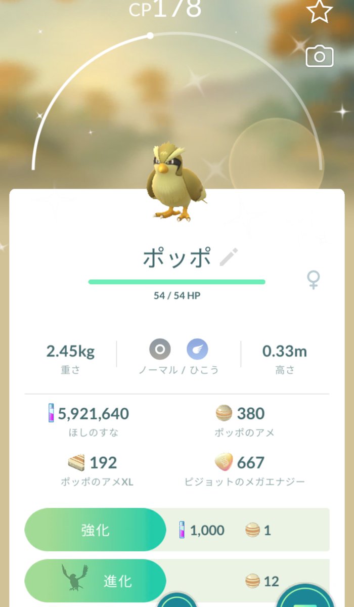 funyamaru_pon's tweet photo. ポッポの色違い✨もってるつもりだったけど持ってなかったみたい😅色違いポッポ初GET👍＃ポケモンGO ＃色違いポケモン https://t.co/zbNGdUaLUO