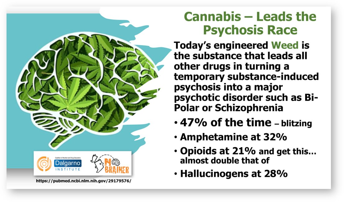 More Cannabis – More Psychosis: The evidence continues to mount #cannabisculture 
Conclusion: Frequent cannabis use is associated with increased prevalence and functional impact of psychiatric symptoms among adults seeking mental health services. nobrainer.org.au/index.php/stud…