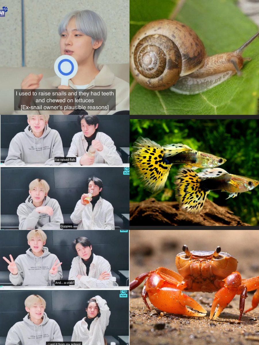 624 zone โก (FAN) tweet media