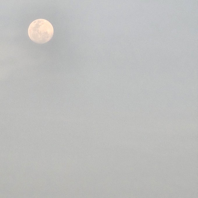 Happy May Day, briefly update for today as I choose to lay off 🙈 五一快乐 今天只想摆烂 先浅更 🙈 https://t.co/u7Da<a href="/tag/%E8%BD%AC%E6%8E%A850%E6%88%91%E5%86%8D%E6%9B%B4%E6%96%B0%E4%B8%80%E5%B8%96"class="tags"><span>#转推50我再更新一帖</span></a><a href="/tag/%E6%98%AF%E6%9C%AC%E4%BA%BA"class="tags"><span>#是本人</span></a><a href="/tag/%E9%A9%AC%E6%9D%A5%E8%A5%BF%E4%BA%9A%E8%B5%84%E6%BA%90"class="tags"><span>#马来西亚资源</span></a>