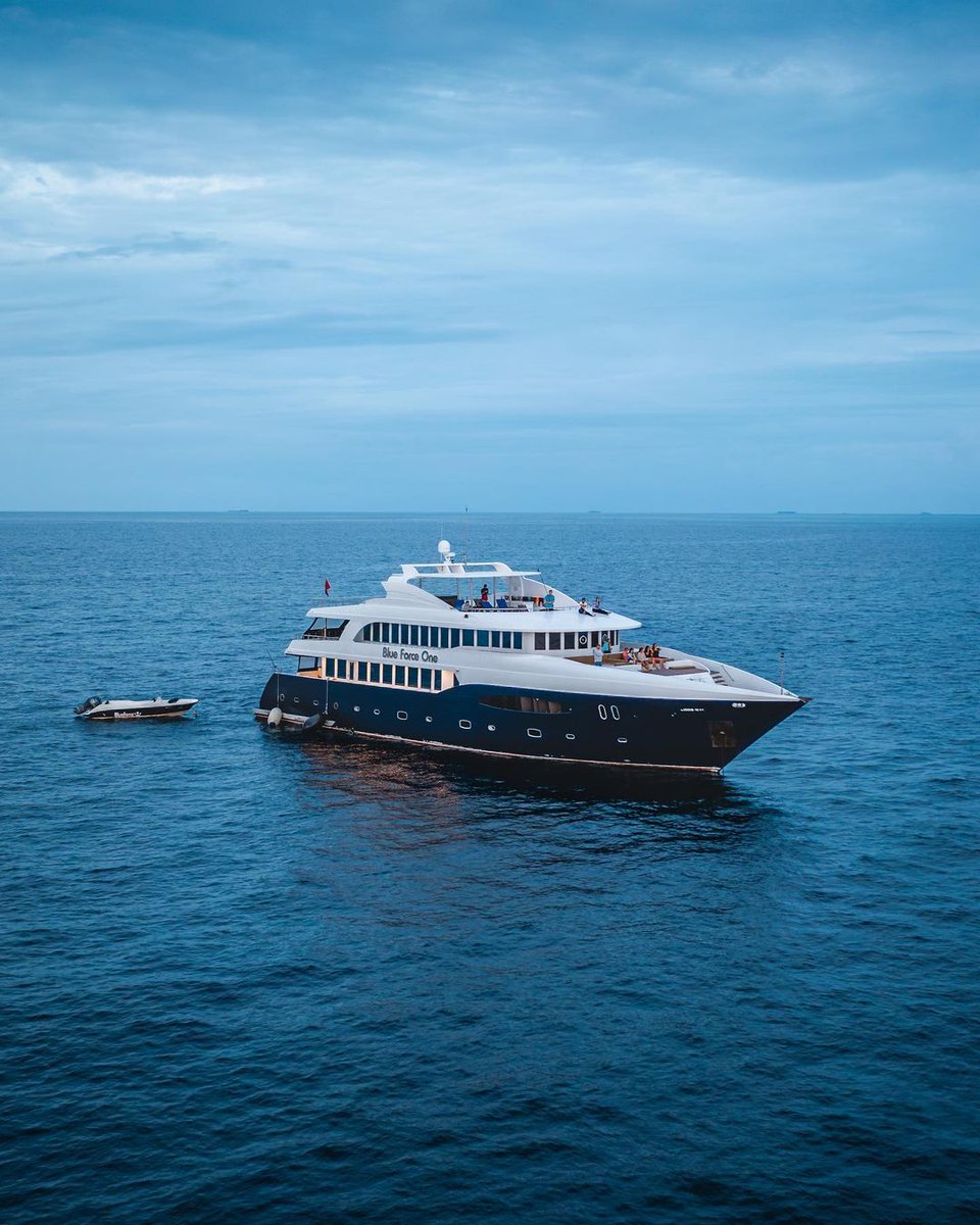 Stay on the move and explore the waters of the Maldives aboard a liveaboard! ⛴
📷 maldives_blueforce

#MaldivianAdventures #Maldives #VisitMaldives #SunnySideOfLife #LiveaboardLife #DiveTheMaldives #IslandHoppingAdventure