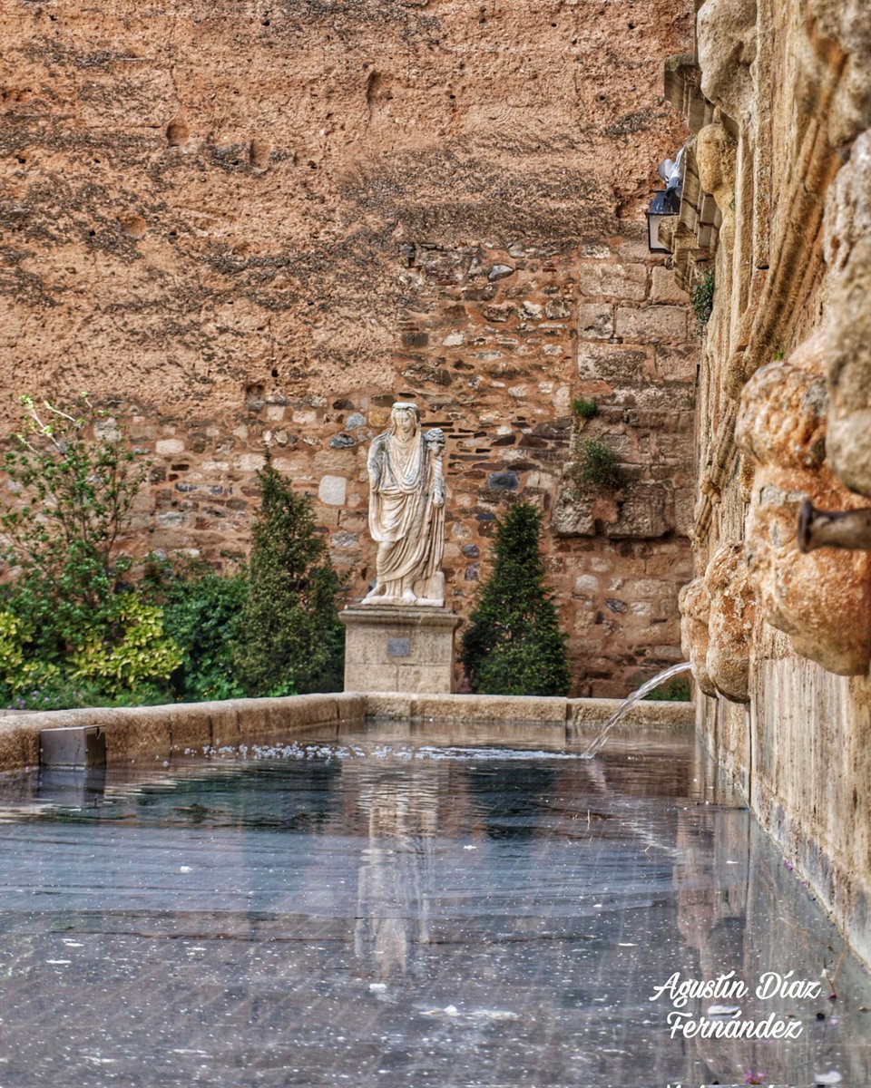 𝔄𝔤𝔲𝔰𝔱𝔦𝔫 𝔇𝔦𝔞𝔷 𝔉𝔢𝔯𝔫𝔞𝔫𝔡𝔢𝔷 tweet media