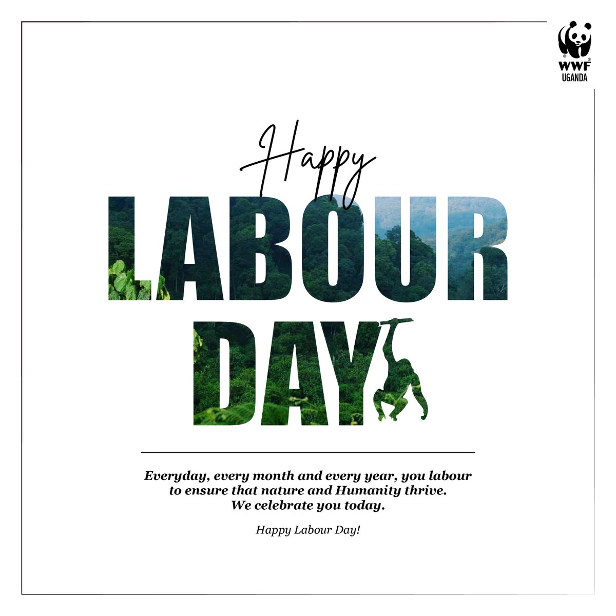 Happy Labor Day from WWF Uganda! We celebrate your hard work and dedication to conservation and sustainable development. May your efforts continue to protect our precious wildlife and natural resources.