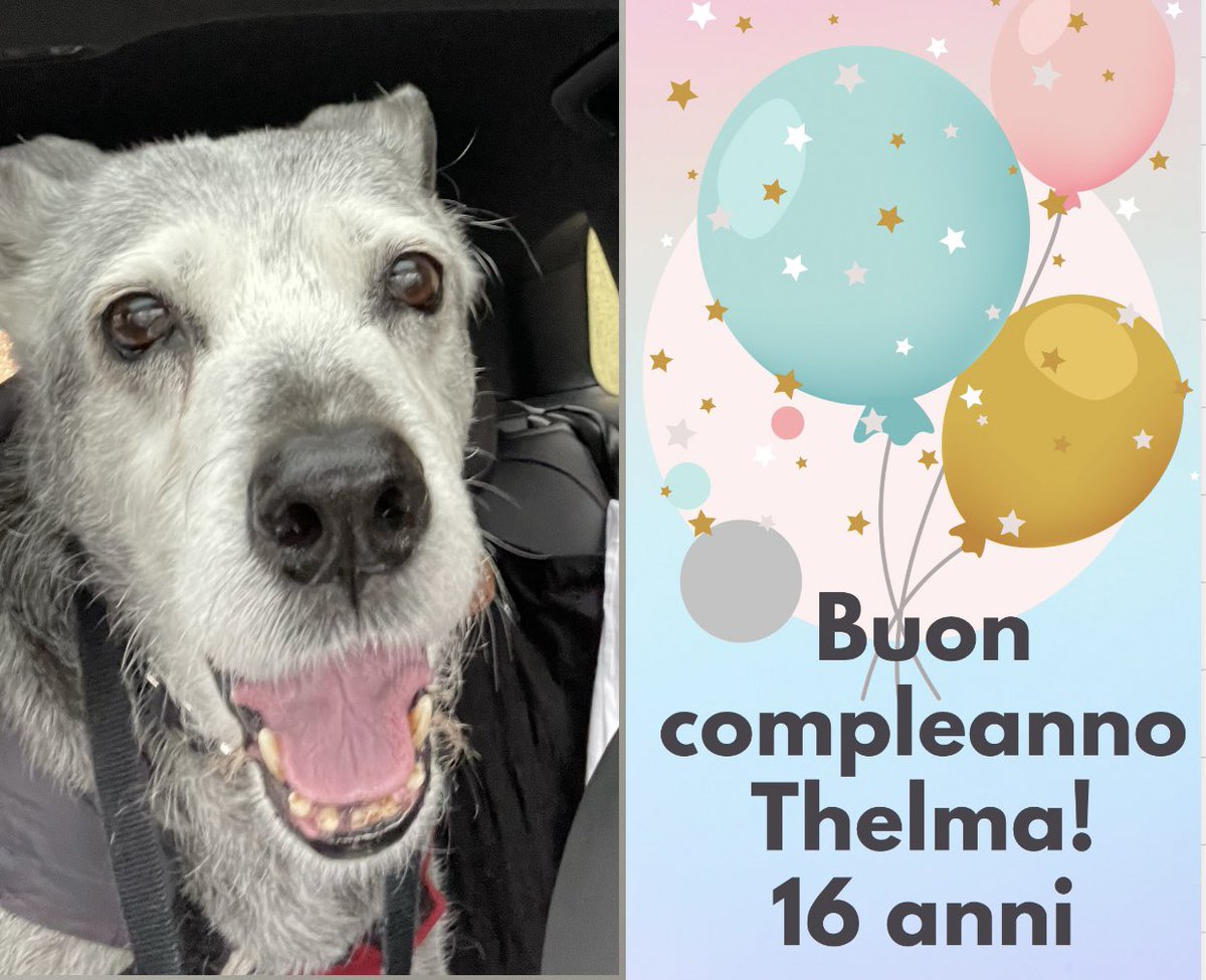 Auguri Thelma ♥️🥰 16 anni ma per me sei sempre la mia cucciola ❤️❤️❤️