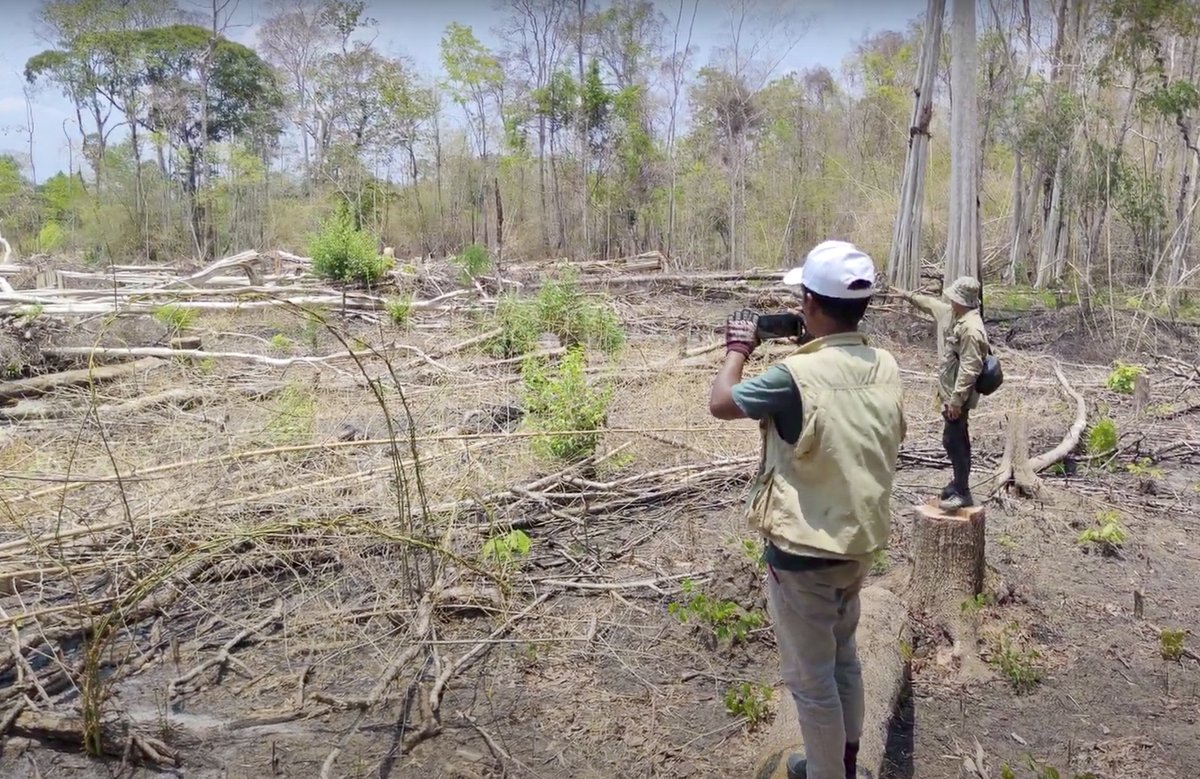 RadioFreeAsiaKH's tweet photo. Drone footage shows empty landscape from logging in northern Cambodia
---
👉 https://t.co/ONXBSIhMdp
---
#RFAKhmer #Cambodia #HunManet #HunSen #EangSophalleth #DefenderKH #PreahVihear #Preylang #Environment #Logging #Deforestation https://t.co/duLh27l9gk