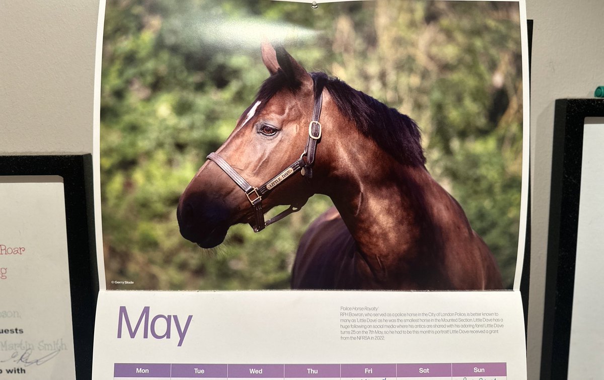 1st May peeps 😍 #birthdaymonth #25yearsyoung @The_NFRSA @byGerrySlade  #rphbowron #littledave #phlittledave #cityboycountrylife