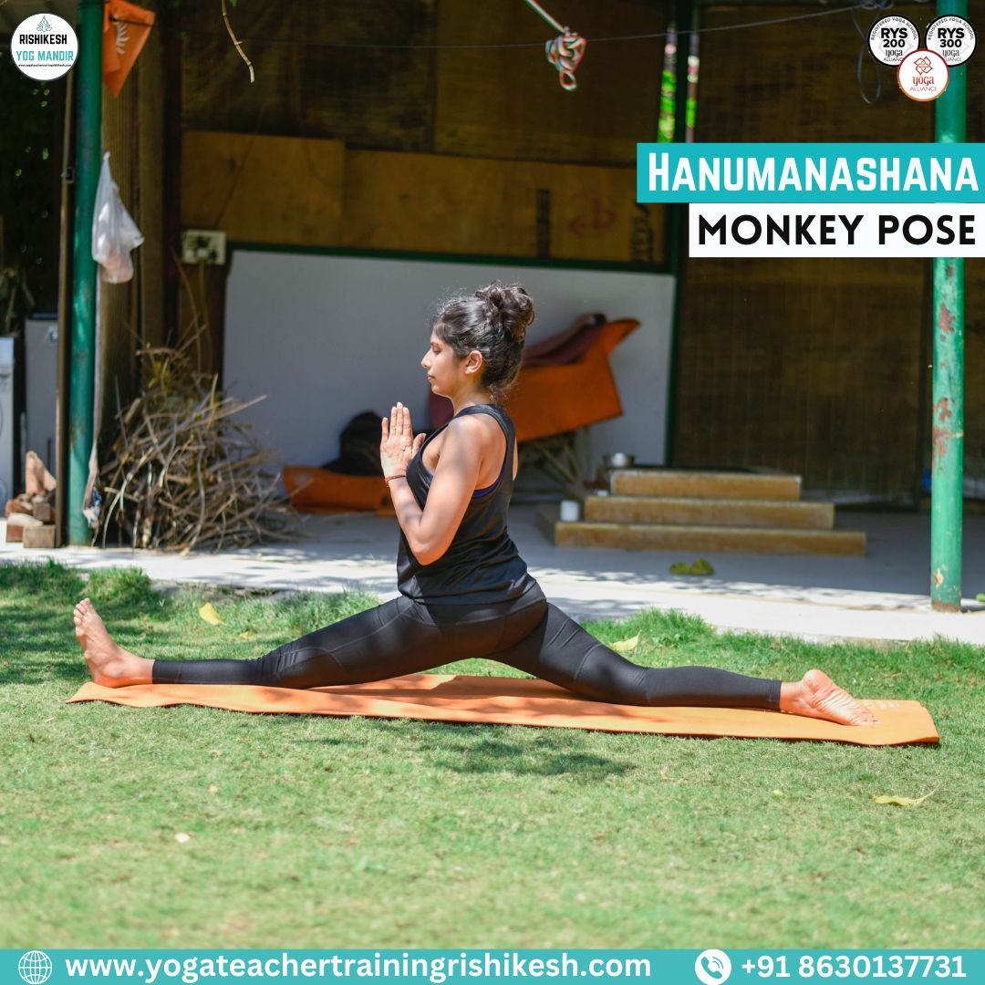 rishikesh_yog's tweet photo. Hanuman Pose: strength, flexibility, devotion. Split position symbolizes Hanuman's leap. Stretches hips, thighs, groin. Balances, echoes Hanuman's determination.
#yoga #yogattc #yogattcinrishikesh https://t.co/SuowhLJp4q
