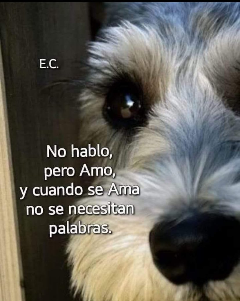 AntoBuffa (@antoobu) on Twitter photo 