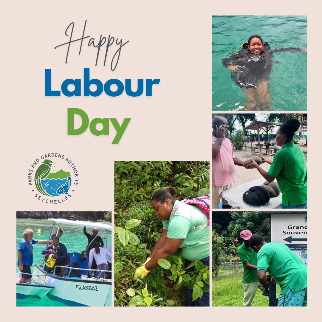 Happy Labour Day! Today, we celebrate the hard work and dedication of our incredible team and workers everywhere. 

Thank you for all that you do!