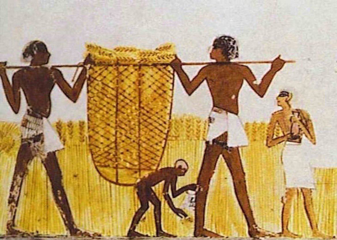 🏛️🔗 Antik Mısır'daki kölelik sistemi:

🏖️ Kölelerin yıllık izin hakları var ve bu süre yılda 2 aya kadar çıkabiliyordu.

⏰ Günlük çalışma saatleri 6 saat civarındaydı.

❌ İşkence, dayak gibi vahşilikler kesinlikle yasaktı.

👰 Evlenecekleri zaman masrafları sahipler karşılar