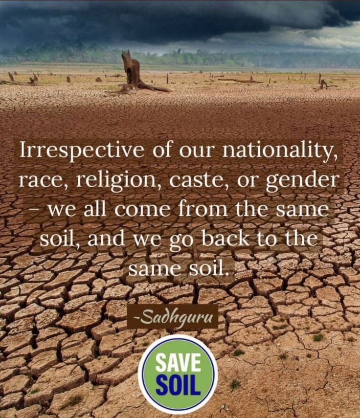 The Solution:
'BRING BACK AT LEAST 3-6% ORGANIC CONTENT IN THE SOIL
By bringing the land under shade from vegetation & enriching the soil through plant litter and animal waste.' - @SadhguruJV
#SaveSoil @cpsavesoil
@ishafoundation #ConsciousPlanet #PolicyForSoil
@UNCCD