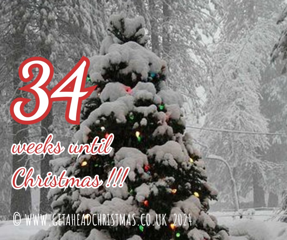 Christmas is 34 weeks today! That means 237 Days or 238 sleeps until Christmas #Christmas #getaheadchristmas #gettingexcited #Christmas2024 #ChristmasCountdown