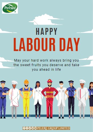 Happy Labor Day! We celebrate the hard work and dedication of workers everywhere. Thank you for your contributions to society. #LaborDay #Workers #Appreciation #peleregroup