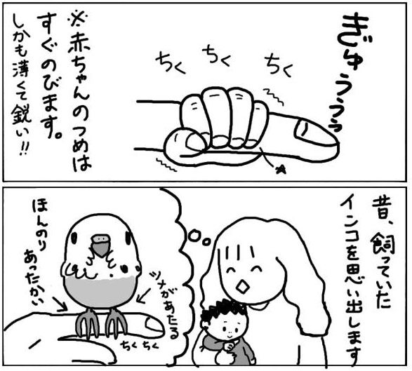 子が赤ちゃんだったときの漫画です☺️ #インコ #育児漫画 #コミックエッセイ