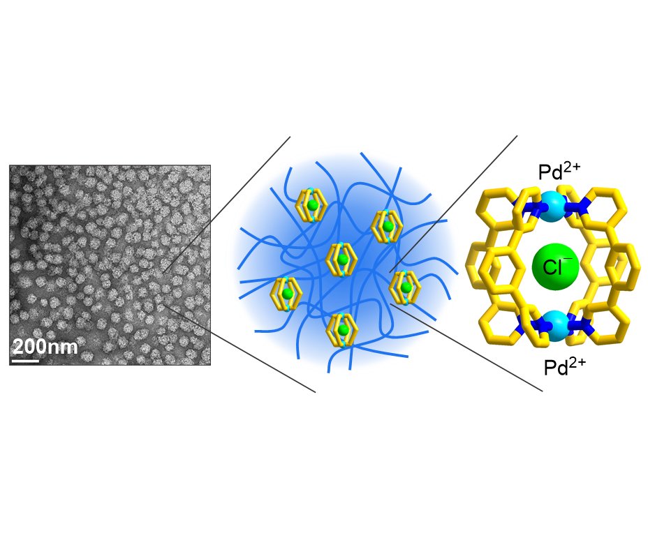 Kay Severin (@kay_severin) on Twitter photo Nanogels with metal-organic #cages as functional crosslinks. Work of <a href="/chaolei_hu/">Chaolei Hu</a> in <a href="/angew_chem/">Angewandte Chemie</a> : onlinelibrary.wiley.com/doi/full/10.10…
#openacccess <a href="/EPFL_CHEM_Tweet/">EPFL Chemistry</a> Nanogels with metal-organic #cages as functional crosslinks. Work of <a href="/chaolei_hu/">Chaolei Hu</a> in <a href="/angew_chem/">Angewandte Chemie</a> : onlinelibrary.wiley.com/doi/full/10.10…
#openacccess <a href="/EPFL_CHEM_Tweet/">EPFL Chemistry</a>