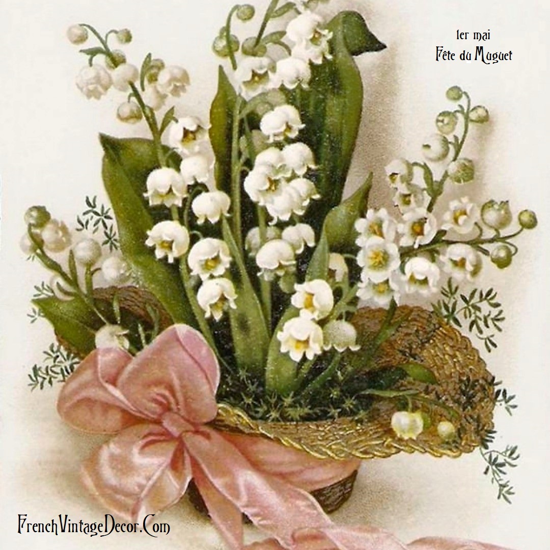 #fetedumuguet
The plant has long been considered a symbol of spring, renewal and luck since the days of the Celts. However it really gained importance in France after King Charles IX of France was given a lily of the valley plant on the 1st May in 1561.

#frenchvintagedecor