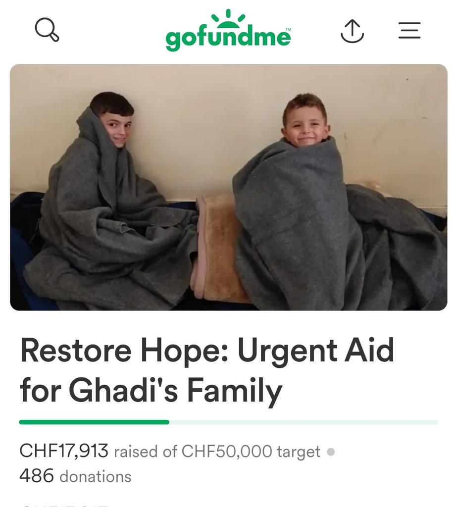 ‼️ 'last scream' ‼️ 87 CHF to reach 18K CHF Please share and donate 🙏🏻🇵🇸🍉 gofundme.com/f/restore-hope…