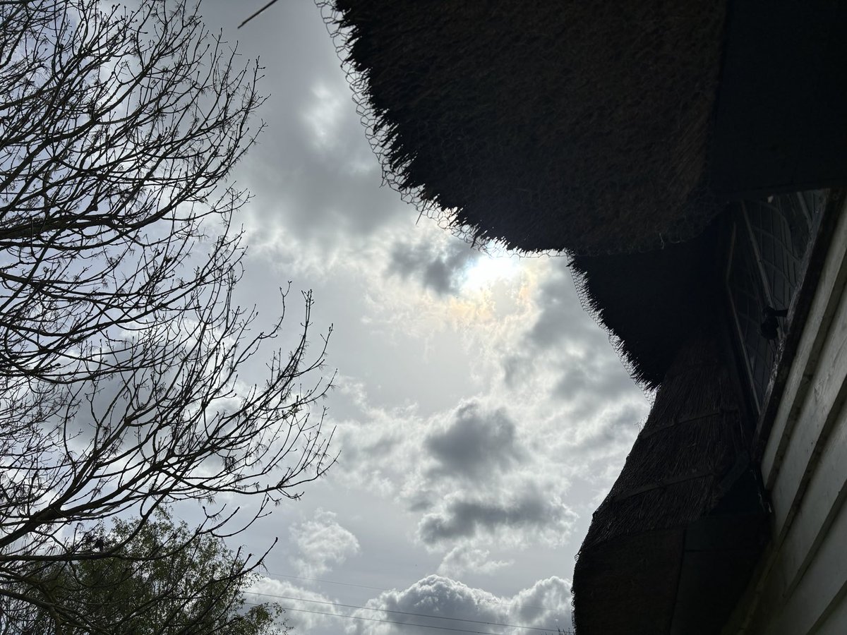 View from the witch’s cottage…#Beltane Blessings to all who celebrate, and #Samhain Blessings to all my Sisters and Brothers in the Southern Hemisphere. #WitchWednesday