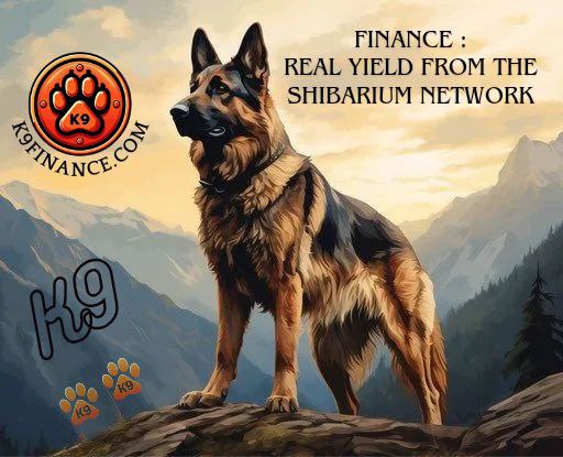 $KNINE is the key to fortified financial security. Trust the K9 to protect your yield and unlock potential profits.

@K9finance

#MIMArmy #K9 #KNINE #K9Finance #Web3 #Crypto #Ethererum #LUNARCRUSH #memetoken