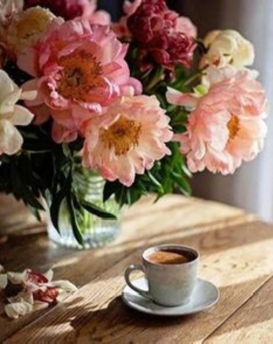☕️☕️☕️

Do it with passion or not at all !

#Coffee helps

@Cbp8Cindy @QueenBeanCoffee @suziday123 @LoveCoffeeHour @Stefeenew 

#CoffeeLover #CoffeeLovers #CoffeeTime #CoffeeTalk #CoffeeCulture #CoffeeAddicts #CoffeeShop #CoffeeKings