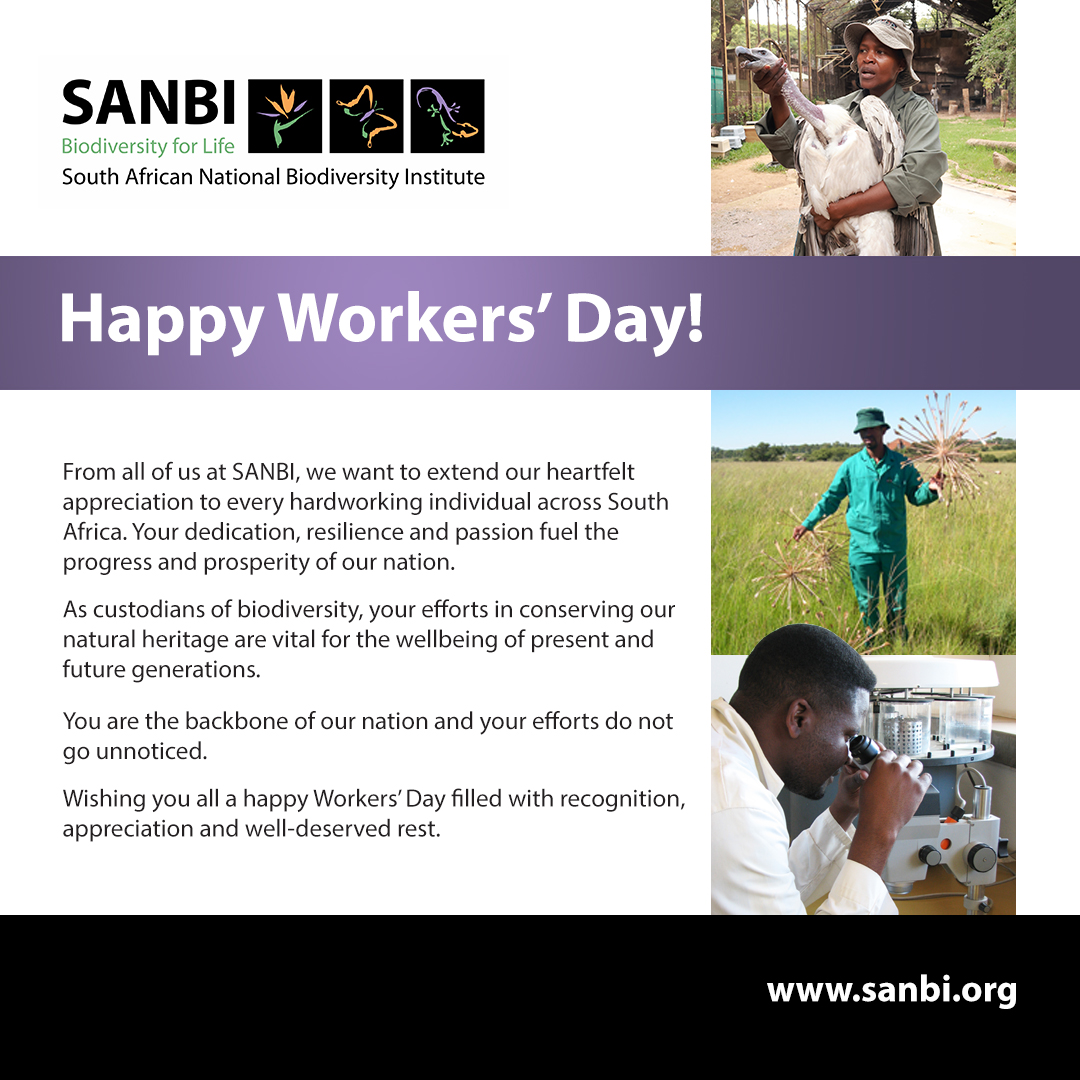 #sanbi #workersdays #wednesday