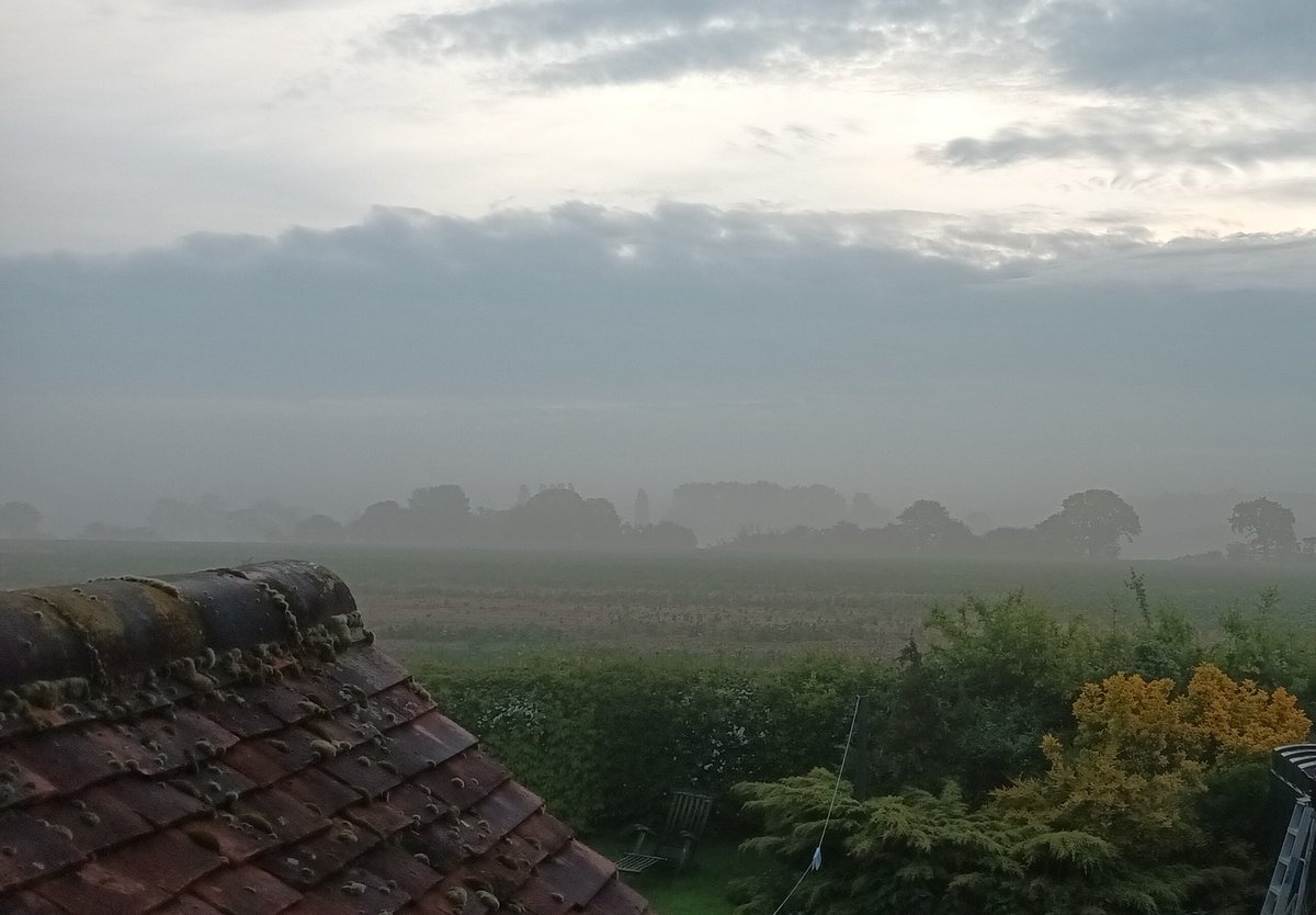 #BREAKING_NEWS 
Lovely misty start to May 2024

Have great May one and all.
#Essex #morningmist