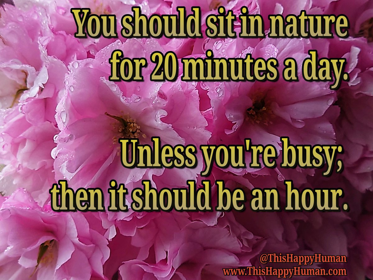 #WednesdayMotivation 
#WednesdayWisdom
