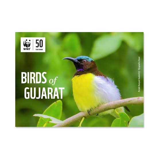 #Gujarat has a diverse ecosystem and provides vital habitat to the more than 520 species of #birds.

Let's celebrate #Gujarat's environment continues to support such rich biodiversity.

#GujaratFoundationDay
#GujaratSTIecosystem