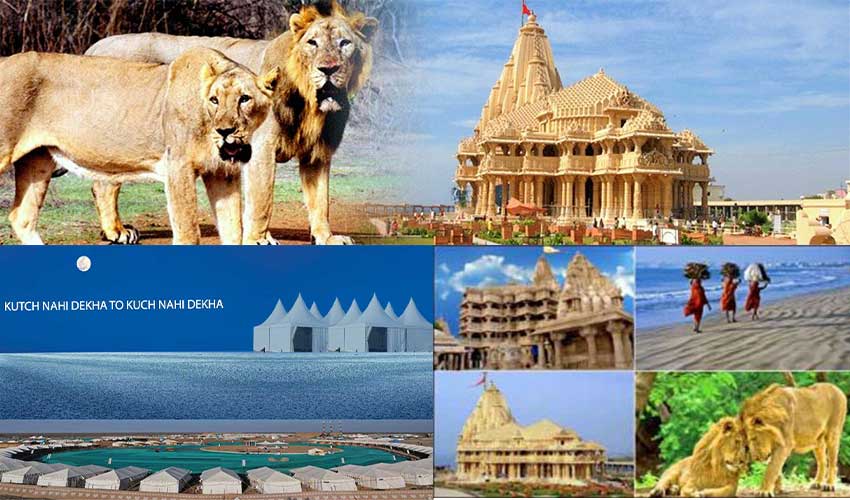 mukesh88498's tweet photo. Happy Gujarat Foundation Day!

#GujaratFoundationDay.
#GujaratSTlecosystem @InfoGujcost @InfoGujarat @monakhandhar @dstGujarat @IndiaDST @GujaratTourism @narottamsahoo @SYNCADGuj @Punam_Bhargava @pavitshah @LokVigyan @CollectorBK @infobanaskantha https://t.co/Ag4PCNPzbe
