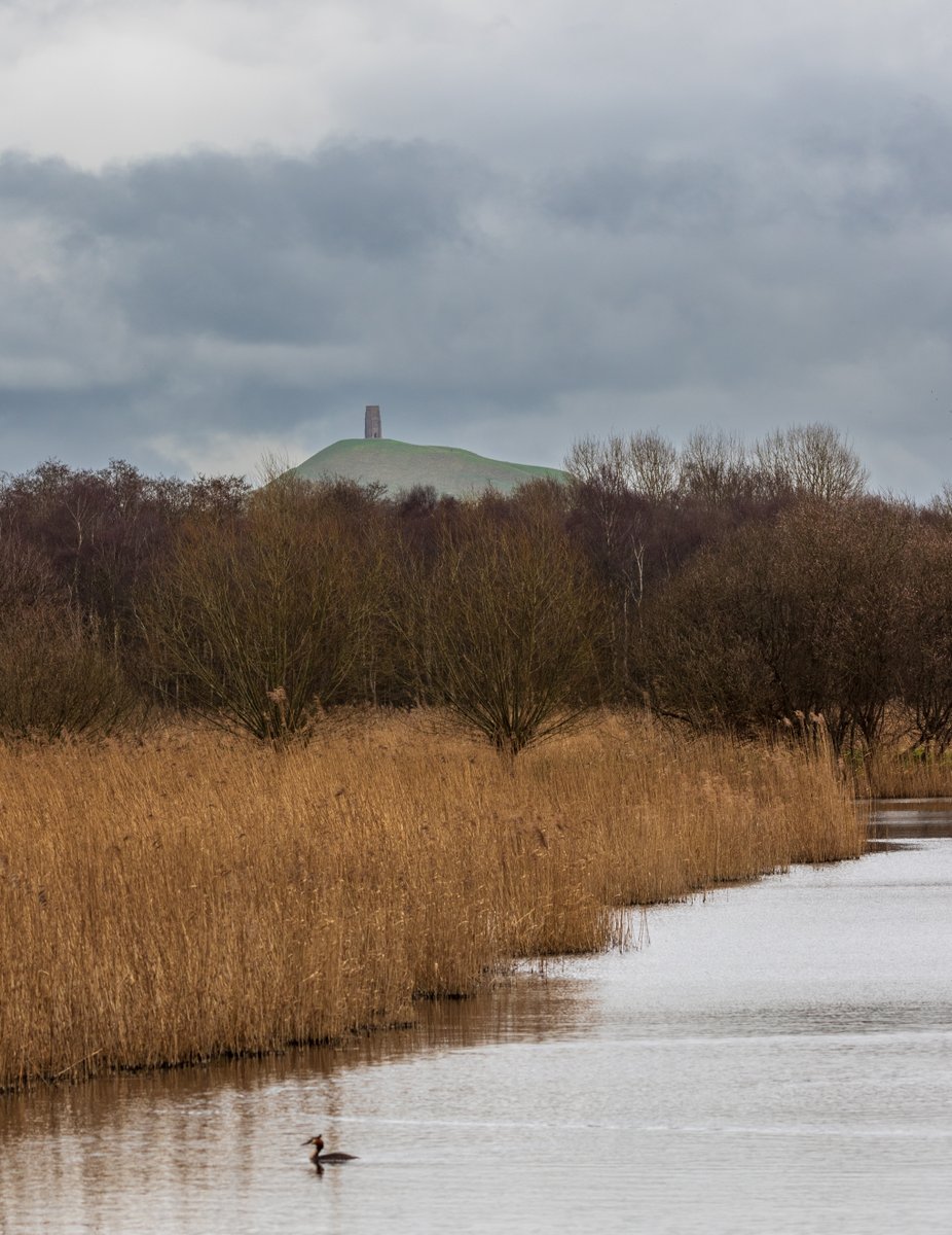 View of Glastonbury Tor from @RSPBHamWall @Natures_Voice