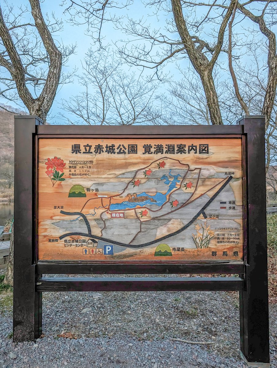 gnavi_official's tweet photo. 前橋市の県立赤城公園　覚満淵

静かな場所で、水芭蕉も咲いていました🌼
カエルの繁殖期のようで、淵から流れている小川にたくさんのカエルさんがいました🐸🐸🐸
#ぐんまナビ
#群馬
#群馬県
#前橋市
#覚満淵
#カエル https://t.co/QYdKoolYoU