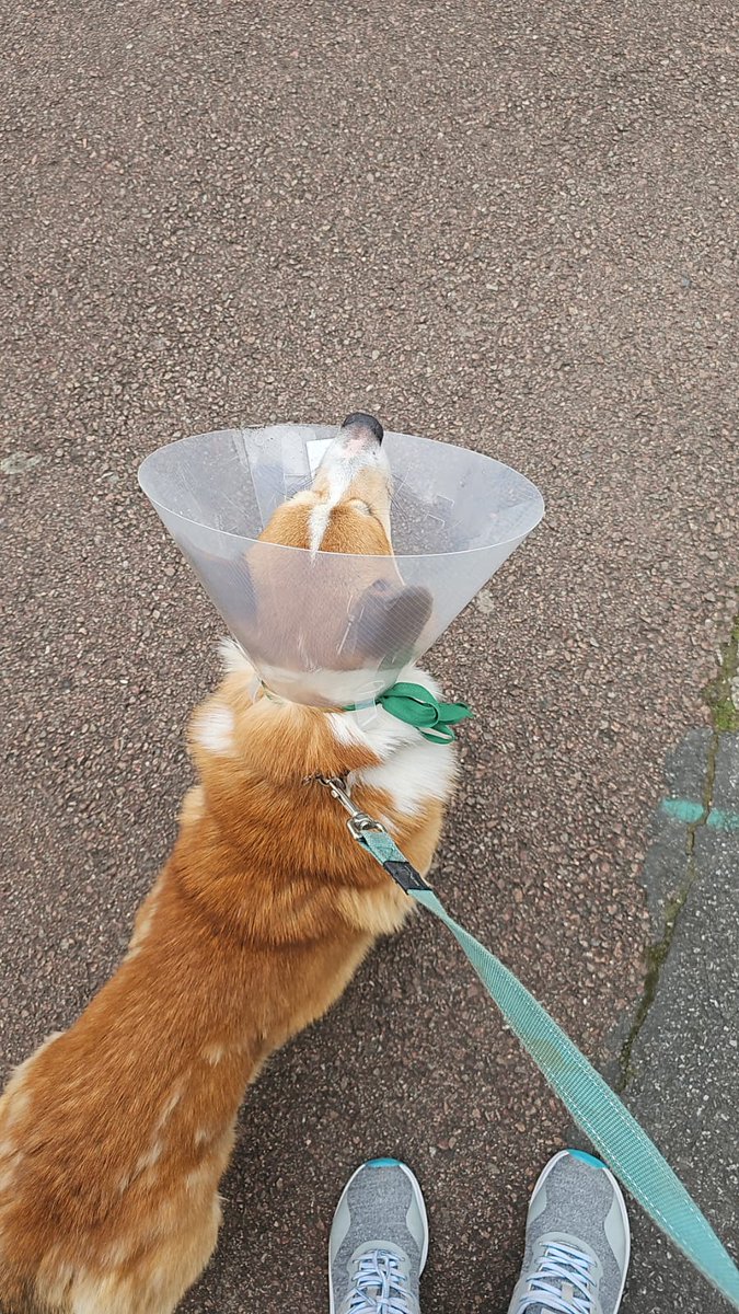 AmbreMakeup's tweet photo. Si avec Parker je ne capte pas les fréquence de l'univers comme ça je ne comprends pas... https://t.co/iWJNKli3Uj