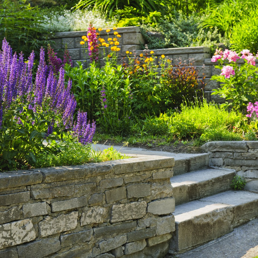 TopsoilDirect's tweet image. Unlock lush gardens with our premium topsoil! Our blends offer ideal plant balance, enhanced nutrient absorption, and impeccable drainage for vibrant, healthy plants. Elevate your gardening experience with us! 🌱✨ #TopsoilPerfection #GardenEssentials