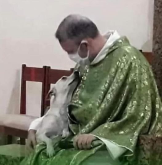 @fopminui @dom_lucre The Brazilian priest 🇧🇷 João Paulo Araujo Gomes, from the Diocese of Caruaru, collects abandoned dogs from the streets, feeds them, bathes them and then presents a dog at each mass to be adopted. Thanks to this man, dozens of stray dogs now have a home...🏡

Good for the priest!…