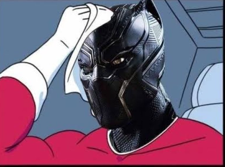 Black panther after seeing what the speaker did to her black skin