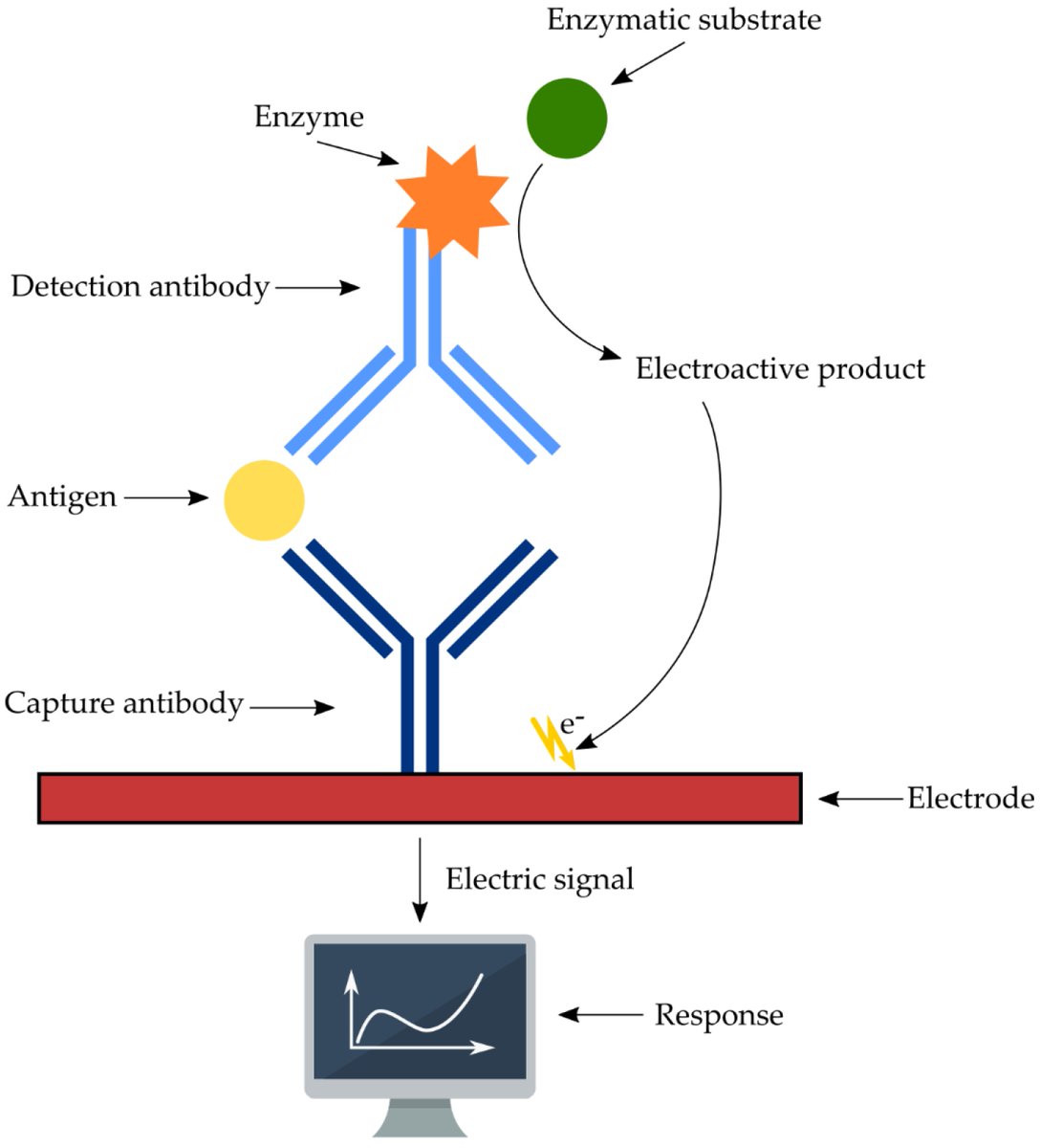 Sensors_MDPI's tweet image. Immunosensors—The Future of Pathogen Real-Time Detection
mdpi.com/1424-8220/22/2…
#immunosensors #biosensors #detection #pathogens #biologicalagents