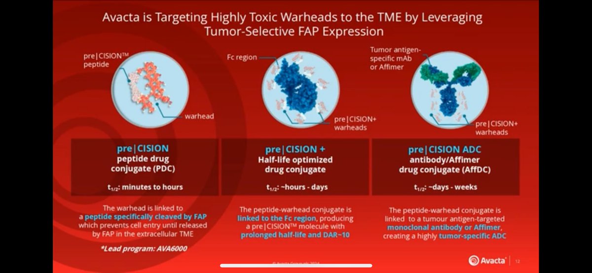 #AVCT really have got the holy grail here. 

We are all very familiar with the AVA6K MoA but we now also have:

‘The extended half-life optimised DC’

Likely to be used to increase the bioavailability of immunomodulatory warheads. Triggering prolonged key pathway signalling.