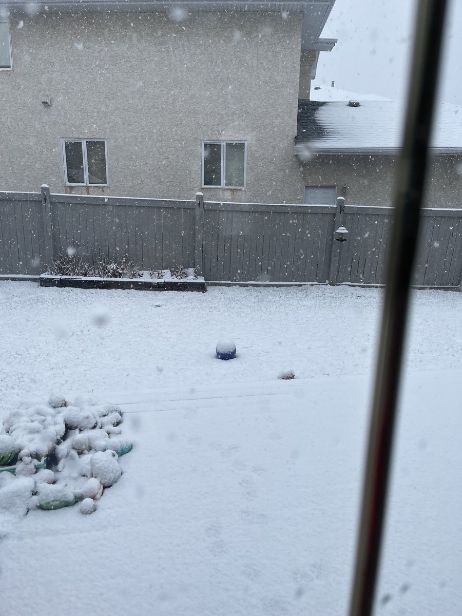 This is what I woke up to this morning in Riverbend, Edmonton