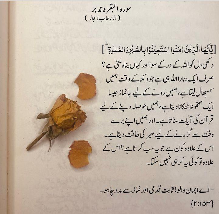 ASLAMOALIAKUM 
Kese hain ap sab
