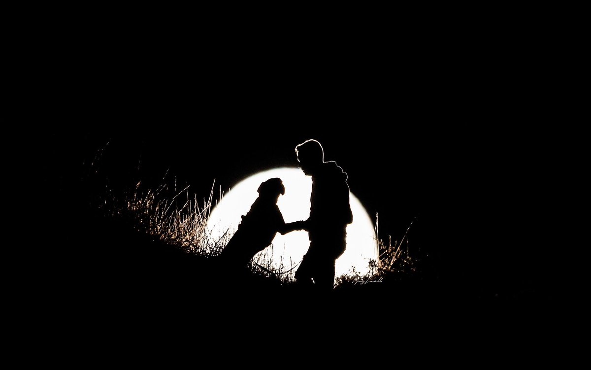 Sé que no me querías dejar!! 🐾<a href="/nanyfotografia/">Lechuza inquieta (Nany Lavado)</a> este día y esta foto estará siempre presente en toda mi vida! De verdad hiciste lo más grande que se pueda hacer! Un abrazo enorme y mil gracias.